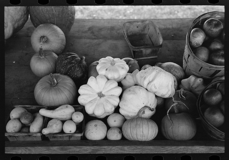 Illustration for article titled Roadside Stand